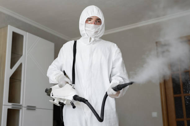 Best Forensic Mold Investigation  in Centerport, NY